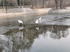 -石家庄市动物园