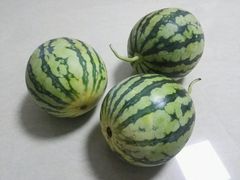 -万宁东星临时农贸市场