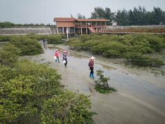 -北海金海湾红树林生态旅游区