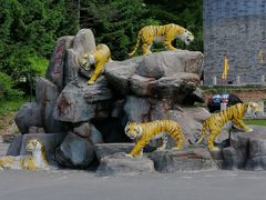 -横道河子东北虎林园