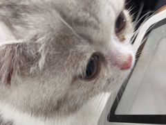 -佳雯宠物医院·皮肤科·内外科(春晓路分院)