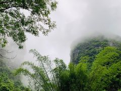 -冰泉豆浆馆(阳朔店)