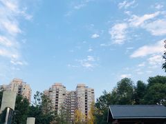 -沙河三洞古桥公园