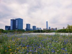 -白塘生态植物园