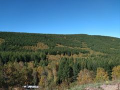 -塞罕坝国家级自然保护区