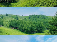 -驼梁风景区