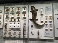 -四川大学博物馆