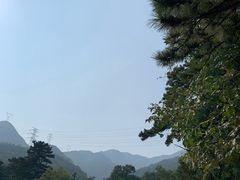 -阳台山自然风景区