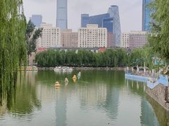 -团结湖公园