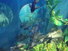 -福州罗源湾海洋世界旅游区