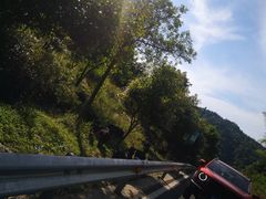 -长沙黑麋峰国家森林公园