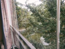 -莲生母婴月子中心(清水河公园店)