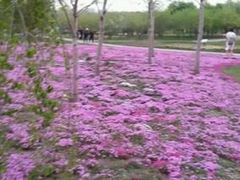 -长春公园(普阳街道)