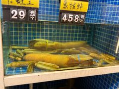 -金龙·打边炉(南京西路店)