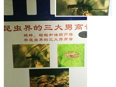 -上海昆虫博物馆