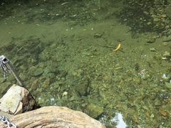 -本溪汤沟绿石谷森林公园