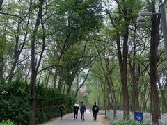 -廊坊市自然公园
