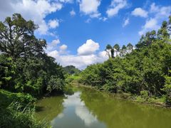 -煲煲掂风味煲仔饭餐厅(西区店)