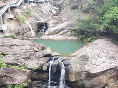 -广州白江湖森林公园