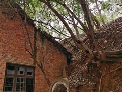 -马王堆汉墓遗址