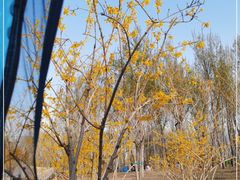 -东郊湿地公园