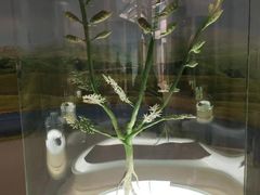 -辽宁古生物博物馆