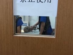 -宠福鑫动物医院(望京分院)