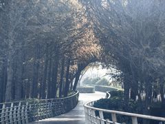 -江滩湿地公园
