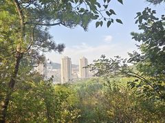 -西尖山公园