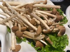 -大匠工房古船木艺术餐厅·猪肚鸡专门店(长白仙岛店)