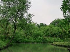 -西溪国家湿地公园