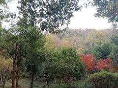 -南京市江宁方山