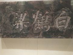 -白鹤梁水下博物馆