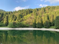 -武陵山森林公园