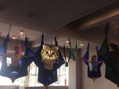 -舞佳舞空中瑜伽馆