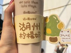 -猫的魔法密林(衣裳街店)