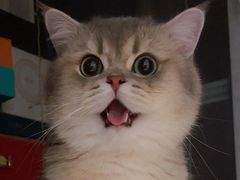 -萨莉亚意式餐厅(莲花国际广场店)