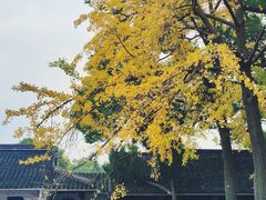 -西园戒幢律寺