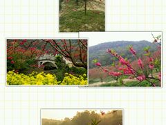 -南国桃园旅游度假区