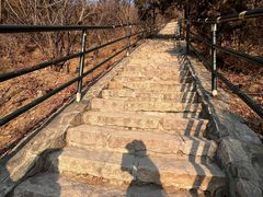 -香山公园