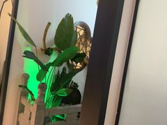 -徽镇小厨·经典徽菜(马连道店)