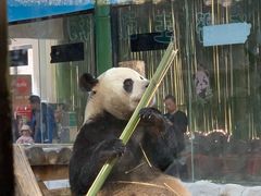 -栾川竹海野生动物园