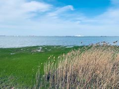 -上海吴淞炮台湾国家湿地公园