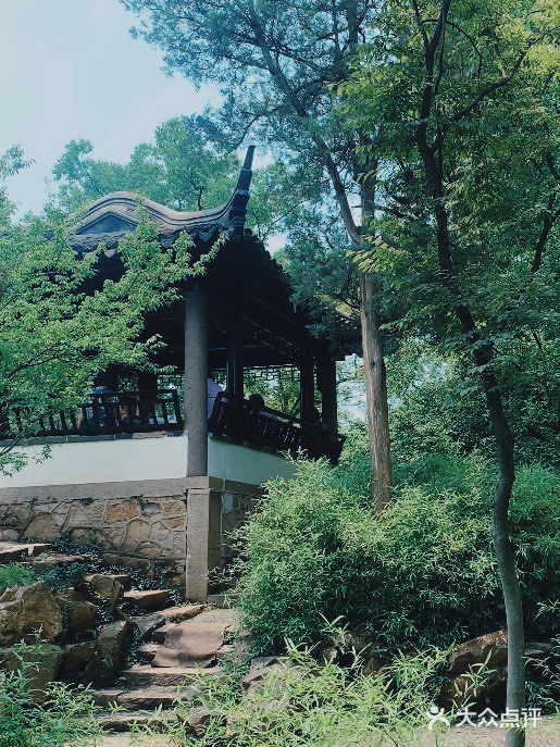 苏州旅游/园林经典拙政园🍃应该这样游～