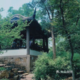 苏州旅游/园林经典拙政园🍃应该这样游～