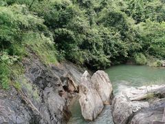 -广州白江湖森林公园