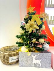 -MB·nail美甲美睫