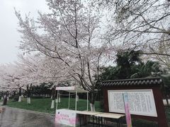 -堤角公园