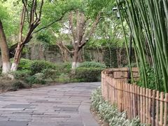 -乌镇景区