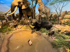 -陕西自然博物馆